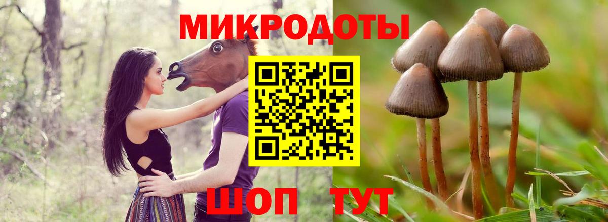 Галлюциногенные грибы мухоморы Партизанск